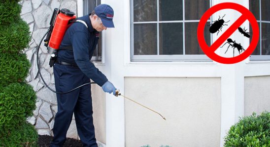 Gökçeada Böcek İlaçlama böcek ilaçlama ve haşere kontrolü — ilaclama-tr.com